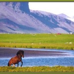 Iceland: the gate to nature as it is