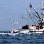 Hrvatski ribari: kud plovi ovaj brod (WPP archive)