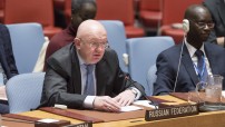Security Council meeting on Syria