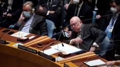 Russian ambassador to the UN Vasily Nebenzia not in a very pleasant position because of Ukraine 2022 (Photo courtesy for education only)